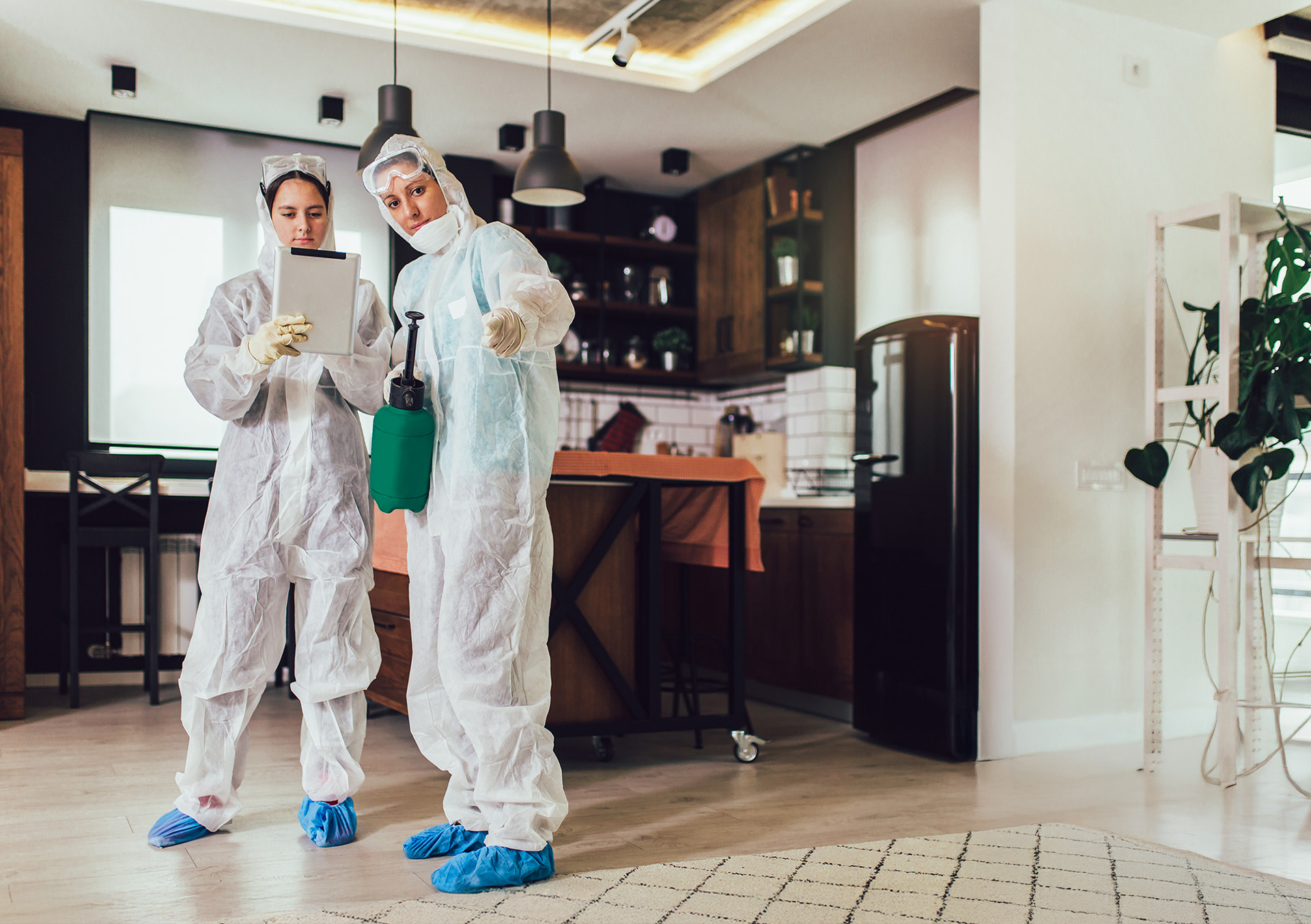 Pest Control Workers in home