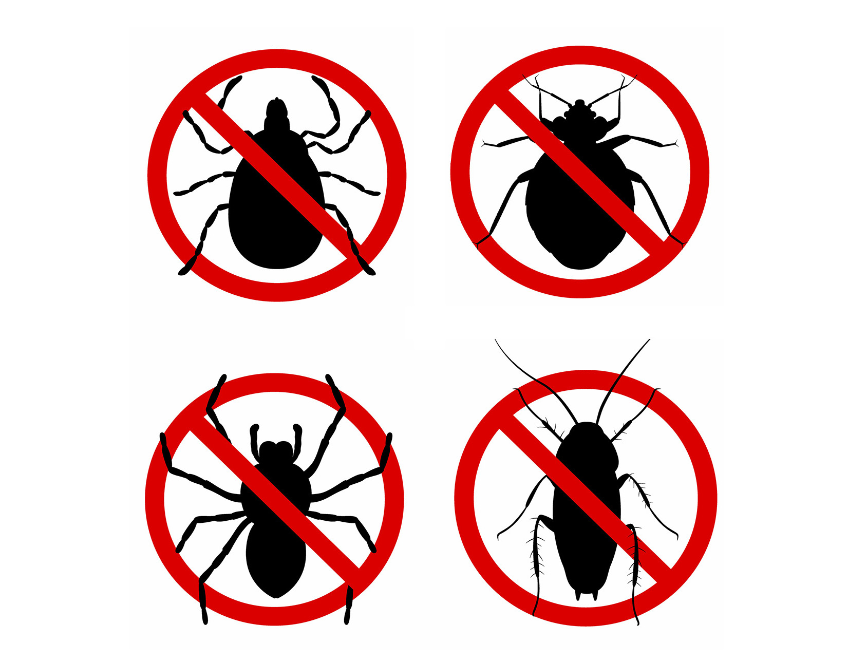No More Pests No More Pests
