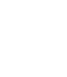 Spider Control