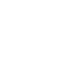 Termite Control