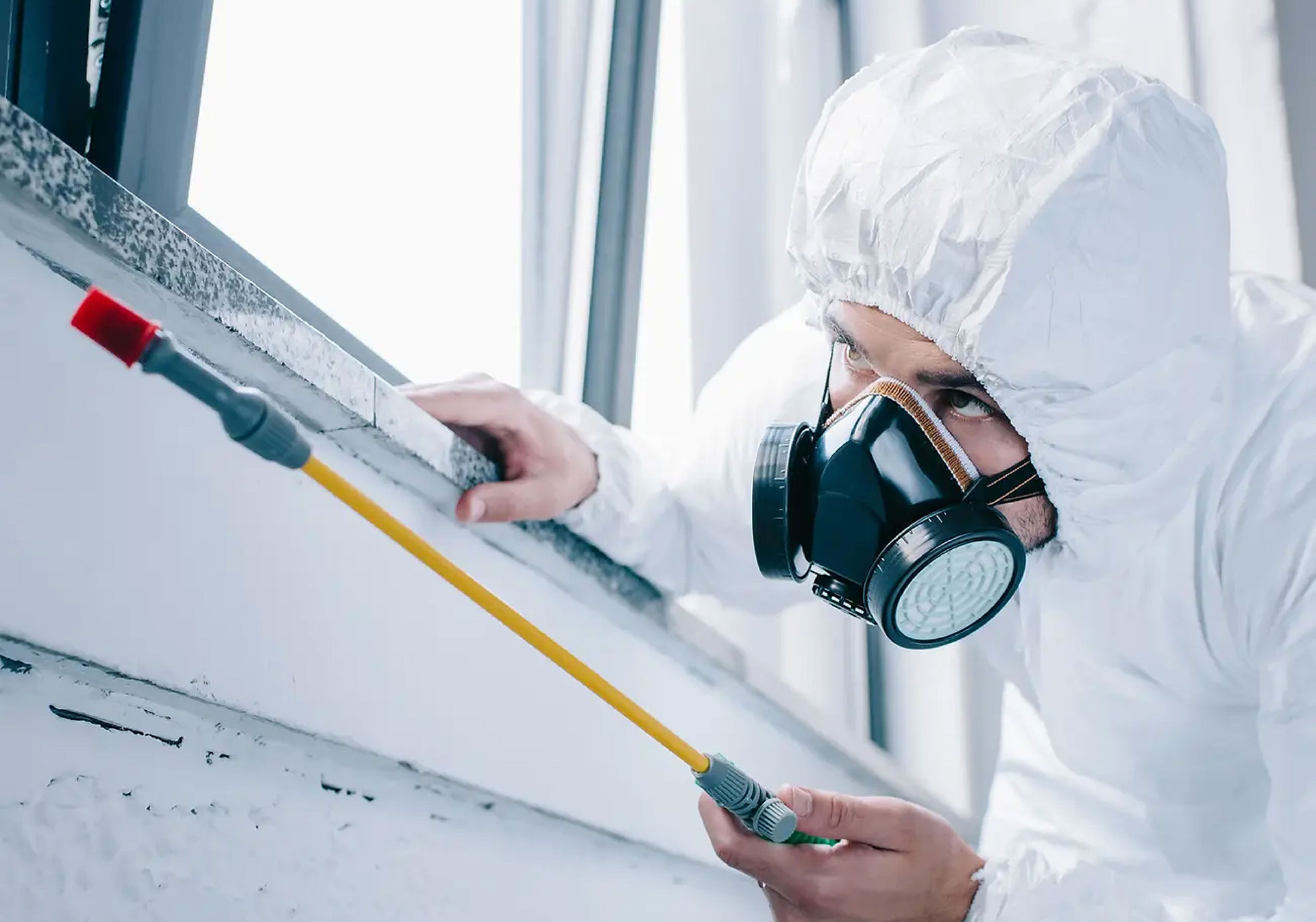 Commercial Pest Control